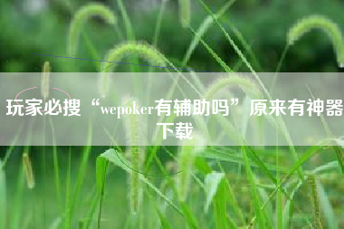 玩家必搜“wepoker有辅助吗”原来有神器下载