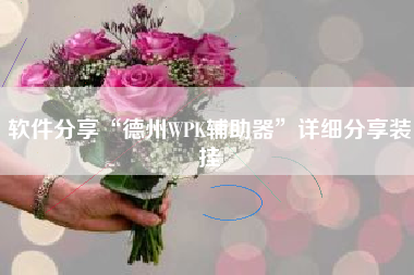 软件分享“德州WPK辅助器	”详细分享装挂