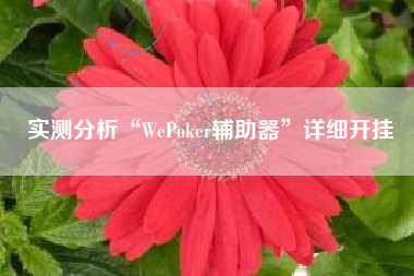 实测分析“WePoker辅助器	”详细开挂