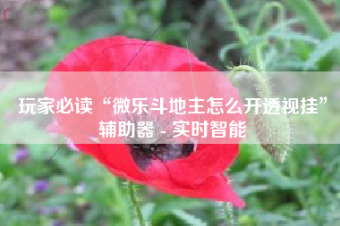 玩家必读“微乐斗地主怎么开透视挂”辅助器 - 实时智能