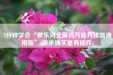 3分钟学会“微乐河北麻将万能开挂器通用版”(原来确实是有插件)