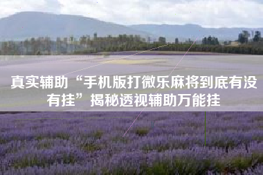 真实辅助“手机版打微乐麻将到底有没有挂”揭秘透视辅助万能挂