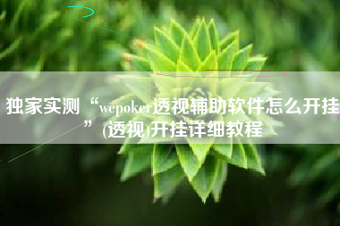 独家实测“wepoker透视辅助软件怎么开挂”(透视)开挂详细教程