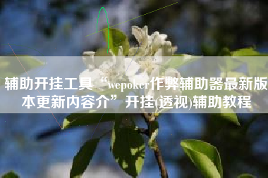 辅助开挂工具“wepoker作弊辅助器最新版本更新内容介	”开挂(透视)辅助教程