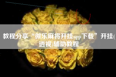 教程分享“微乐麻将开挂app下载	”开挂(透视)辅助教程