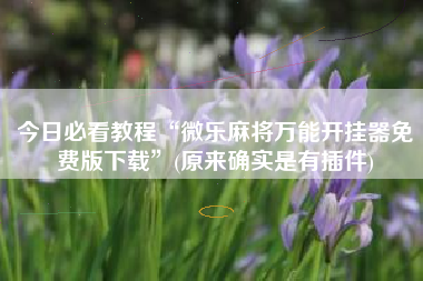 今日必看教程“微乐麻将万能开挂器免费版下载	”(原来确实是有插件)