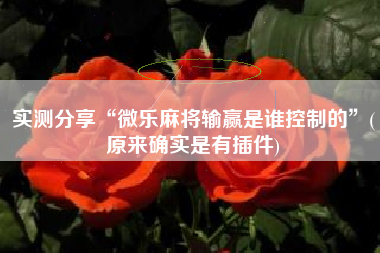 实测分享“微乐麻将输赢是谁控制的	”(原来确实是有插件)