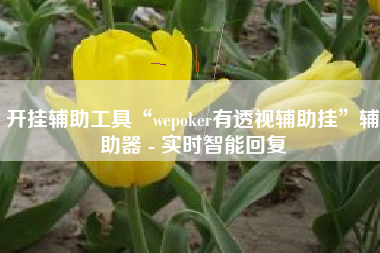 开挂辅助工具“wepoker有透视辅助挂”辅助器 - 实时智能回复