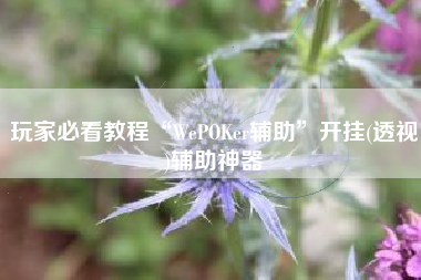 玩家必看教程“WePOKer辅助”开挂(透视)辅助神器