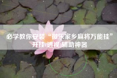 必学教你安装“微乐家乡麻将万能挂”开挂(透视)辅助神器