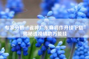 专家分析“雀神广东麻将作开挂下载”揭秘透视辅助万能挂