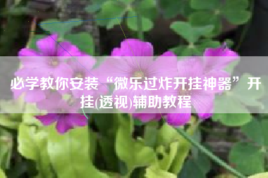 必学教你安装“微乐过炸开挂神器”开挂(透视)辅助教程