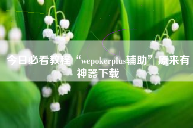 今日必看教程“wepokerplus辅助	”原来有神器下载