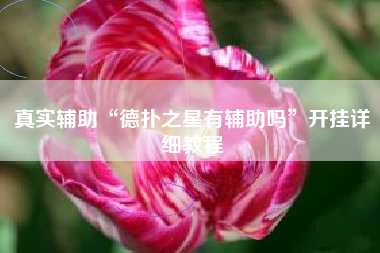 真实辅助“德扑之星有辅助吗	”开挂详细教程