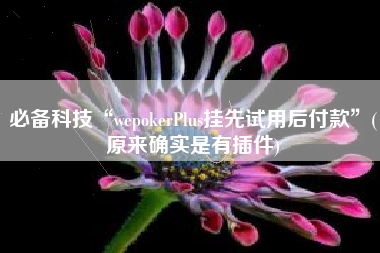 必备科技“wepokerPlus挂先试用后付款	”(原来确实是有插件)