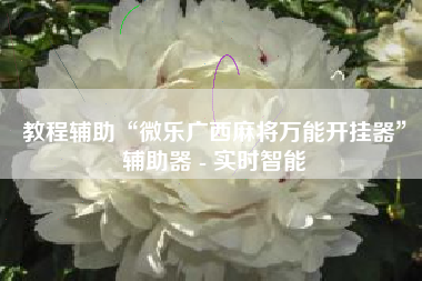 教程辅助“微乐广西麻将万能开挂器”辅助器 - 实时智能
