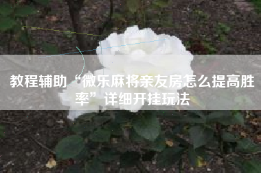 教程辅助“微乐麻将亲友房怎么提高胜率	”详细开挂玩法