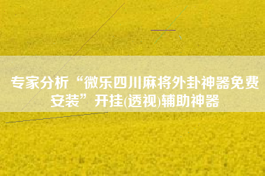 专家分析“微乐四川麻将外卦神器免费安装”开挂(透视)辅助神器