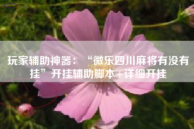 玩家辅助神器：“微乐四川麻将有没有挂”开挂辅助脚本+详细开挂