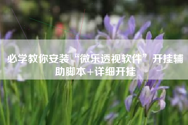 必学教你安装“微乐透视软件”开挂辅助脚本+详细开挂