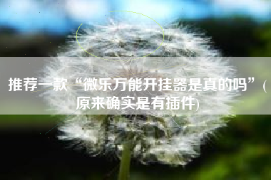 推荐一款“微乐万能开挂器是真的吗”(原来确实是有插件)