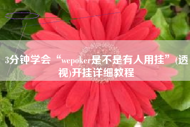 3分钟学会“wepoker是不是有人用挂	”(透视)开挂详细教程