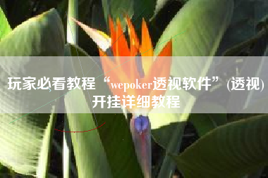 玩家必看教程“wepoker透视软件	”(透视)开挂详细教程