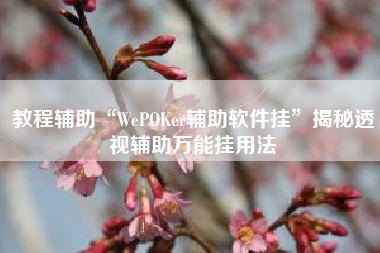 教程辅助“WePOKer辅助软件挂	”揭秘透视辅助万能挂用法