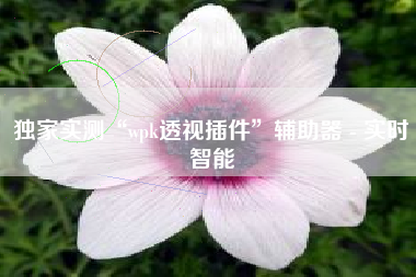 独家实测“wpk透视插件”辅助器 - 实时智能