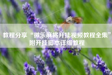 教程分享“微乐麻将开挂视频教程全集”附开挂脚本详细教程