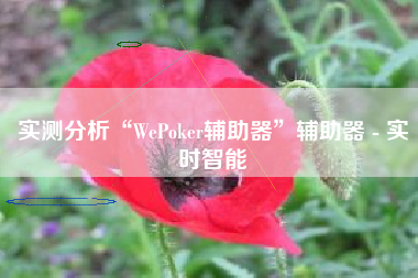 实测分析“WePoker辅助器”辅助器 - 实时智能