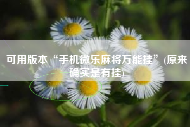 可用版本“手机微乐麻将万能挂”(原来确实是有挂)