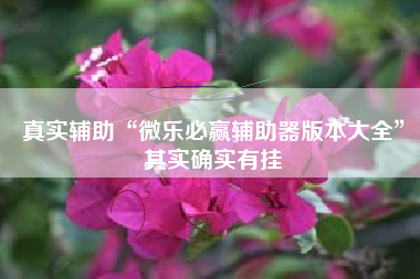 真实辅助“微乐必赢辅助器版本大全”其实确实有挂