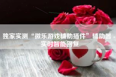 独家实测“微乐游戏辅助插件”辅助器 - 实时智能回复