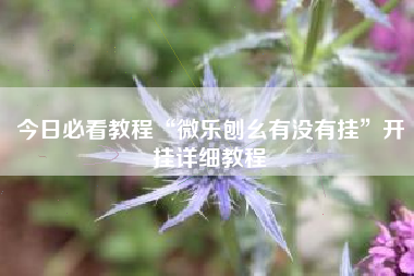今日必看教程“微乐刨幺有没有挂”开挂详细教程