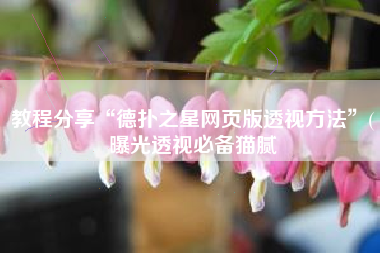 教程分享“德扑之星网页版透视方法”(曝光透视必备猫腻