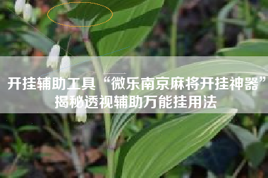 开挂辅助工具“微乐南京麻将开挂神器”揭秘透视辅助万能挂用法