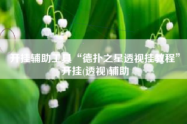 开挂辅助工具“德扑之星透视挂教程”开挂(透视)辅助