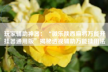 玩家辅助神器：“微乐陕西麻将万能开挂器通用版	”揭秘透视辅助万能挂用法