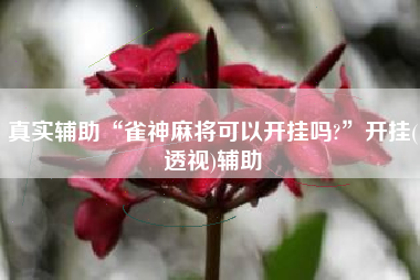 真实辅助“雀神麻将可以开挂吗?	”开挂(透视)辅助