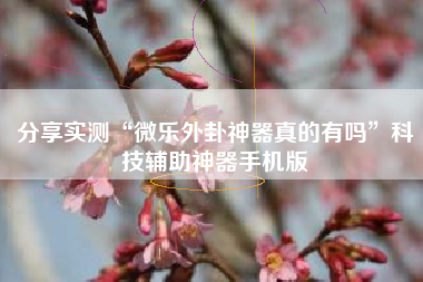 分享实测“微乐外卦神器真的有吗”科技辅助神器手机版
