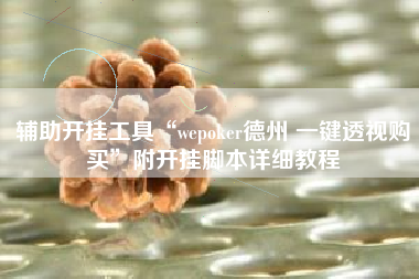 辅助开挂工具“wepoker德州 一键透视购买”附开挂脚本详细教程