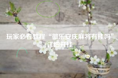 玩家必看教程“微乐安庆麻将有挂吗	”详细开挂