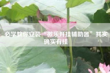 必学教你安装“微乐开挂辅助器”其实确实有挂