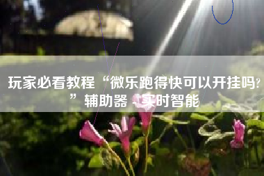 玩家必看教程“微乐跑得快可以开挂吗?”辅助器 - 实时智能