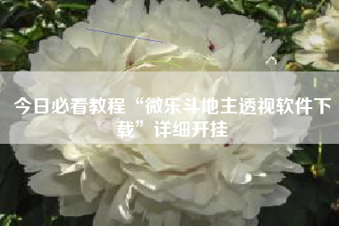 今日必看教程“微乐斗地主透视软件下载	”详细开挂