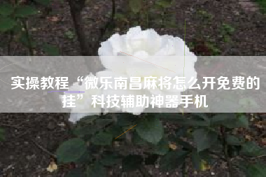实操教程“微乐南昌麻将怎么开免费的挂”科技辅助神器手机