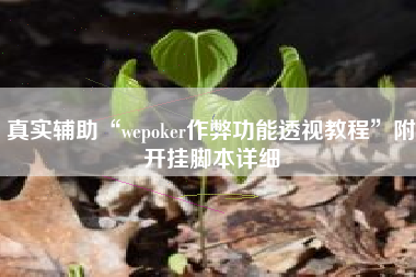 真实辅助“wepoker作弊功能透视教程”附开挂脚本详细