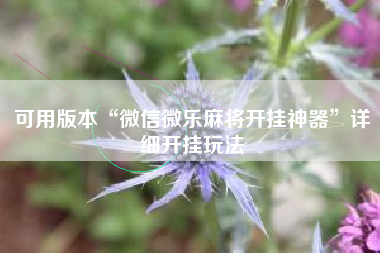 可用版本“微信微乐麻将开挂神器”详细开挂玩法