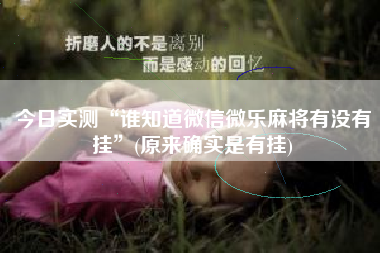 今日实测“谁知道微信微乐麻将有没有挂”(原来确实是有挂)